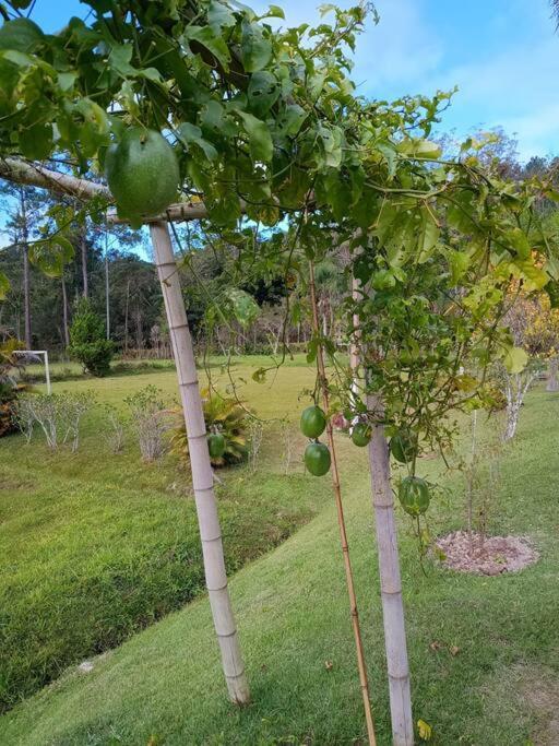 Sitio Paraiso Verde Juquitiba Εξωτερικό φωτογραφία
