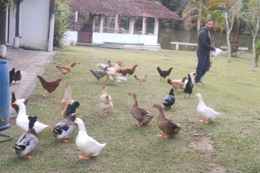 Sitio Paraiso Verde Juquitiba Εξωτερικό φωτογραφία
