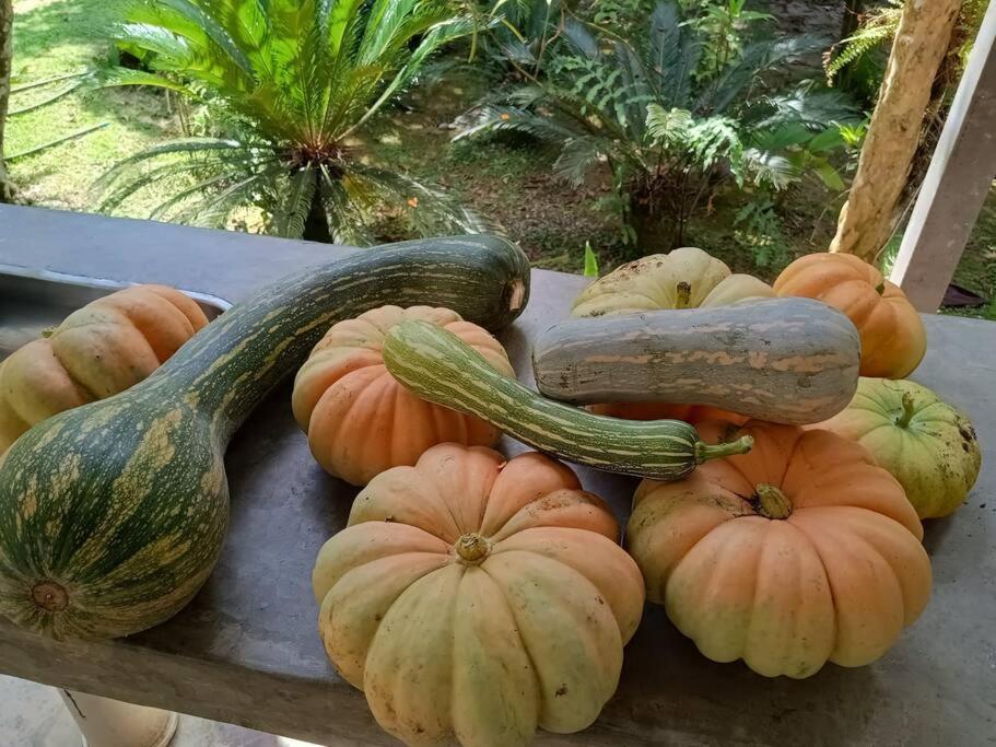 Sitio Paraiso Verde Juquitiba Εξωτερικό φωτογραφία