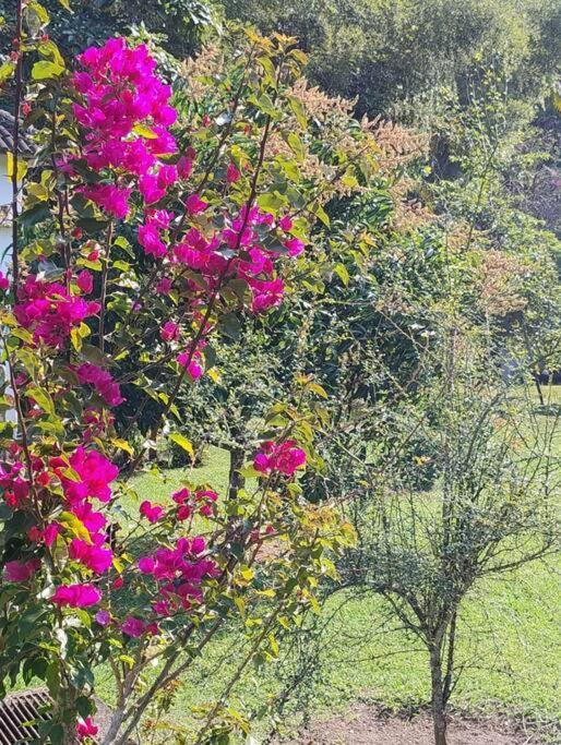 Sitio Paraiso Verde Juquitiba Εξωτερικό φωτογραφία
